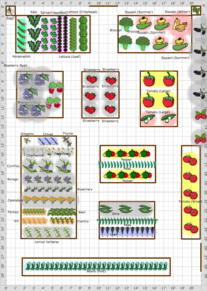 Garden Plan - 2020: Home Veggies