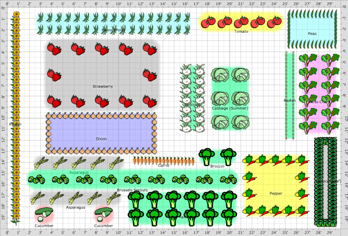 Garden Plan - 2011: Shafer Plana