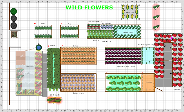 Garden Plan - Kitchen Garden