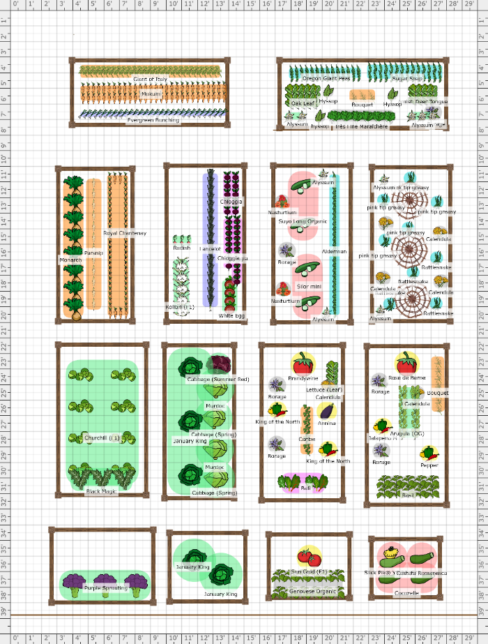 Garden Plan - 2021: Pamela S Lutz