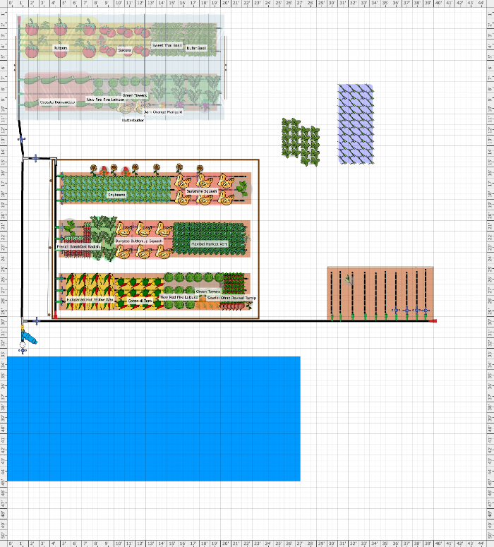 garden-plan-2021-backyard-garden