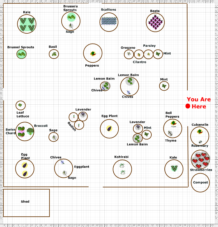 Garden Plan - 2021: Rotation Plan CG Fenced Area