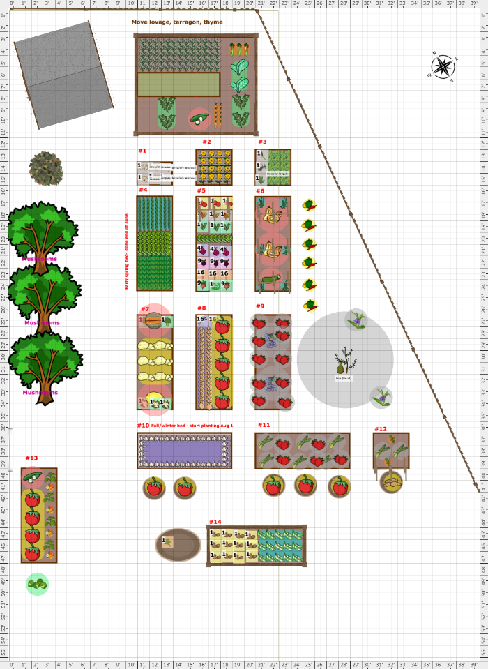 Garden Plan - 2022: Back yard