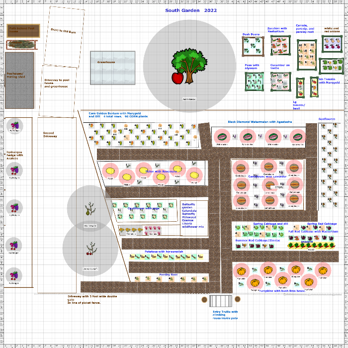 Garden Plan - 2022: New layout