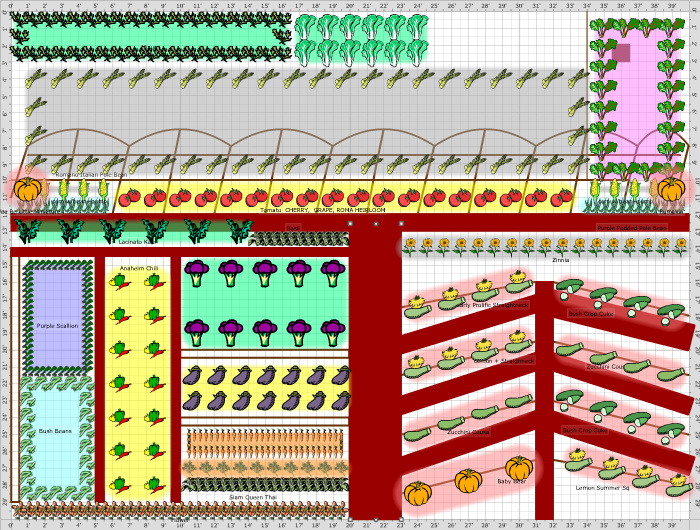 Garden Plan - 2011: Main Garden