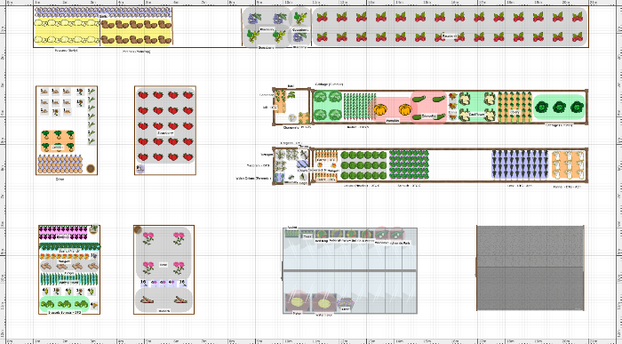 Garden Plan - 2022: Latham House Veg Patch