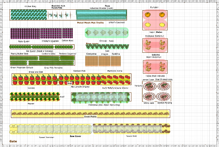 Garden Plan 2024 Meadow   1435165 