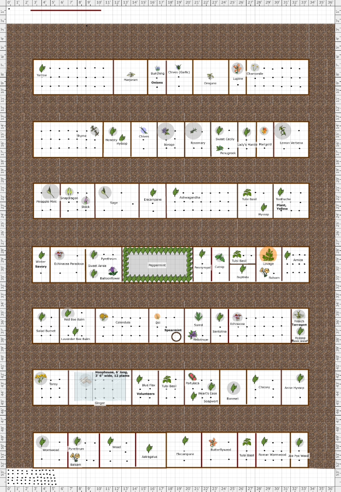 Garden Plan 2023 New Herb Garden