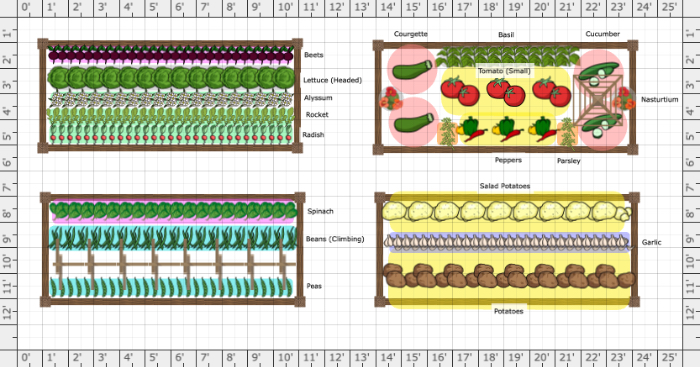 Garden Plan - 2023: Beginner Garden UK