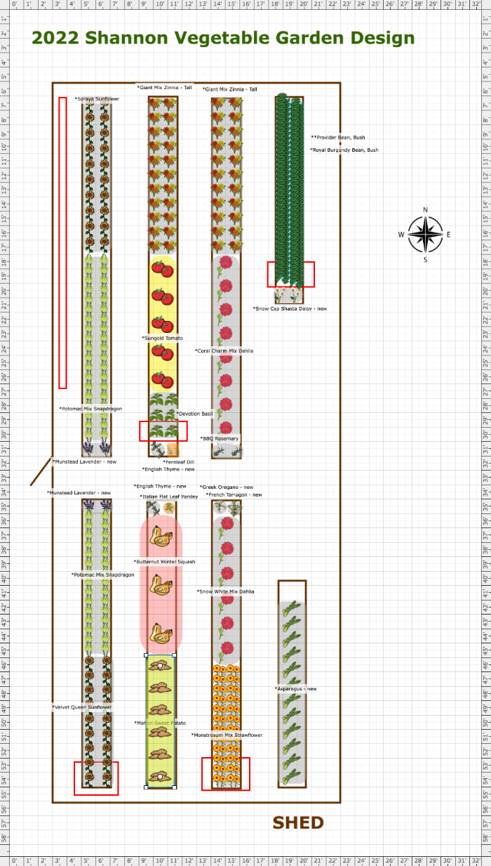 Garden Plan 2023 Shannon