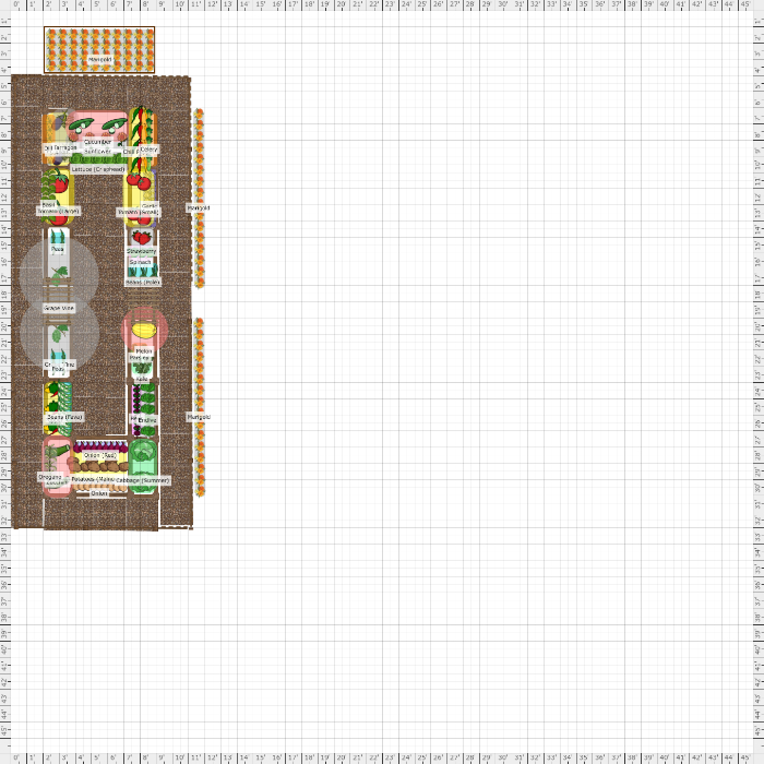 garden-plan-2023-tom-s-garden