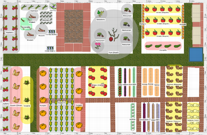 Garden Plan - 2024: Dave's plot