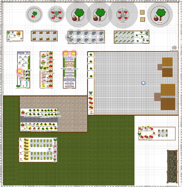 Garden Plan - 2024: 11th Year, 2024