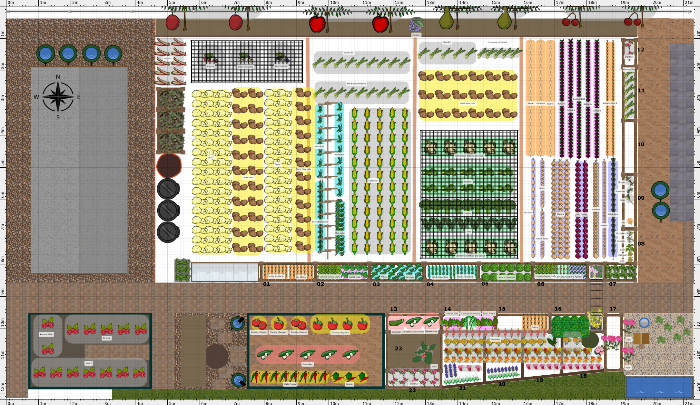 Garden Plan - 2024: Trevors Plot