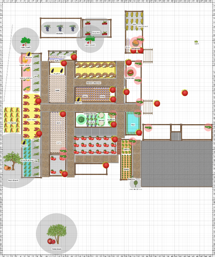 Garden Plan - 2024: 2024 - Copy