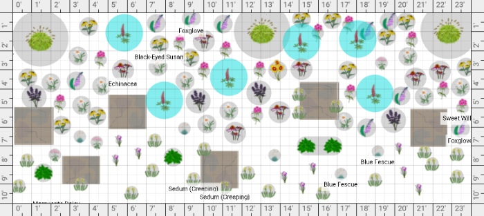 Garden Plan - 2024: Side yard 2024