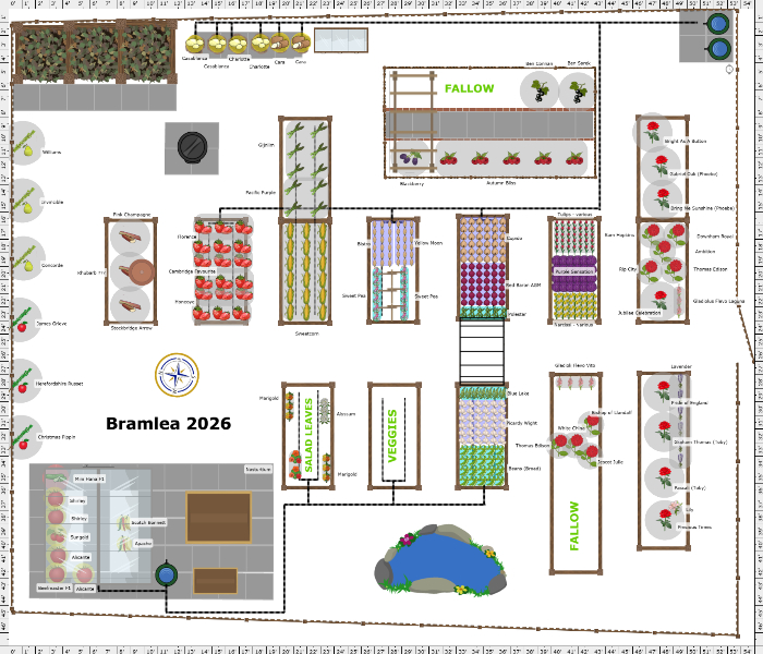 Garden Plan - 2026: Bramlea veg plot new beds