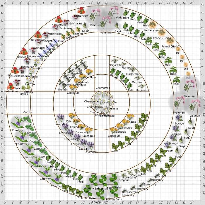 herb garden layout planner