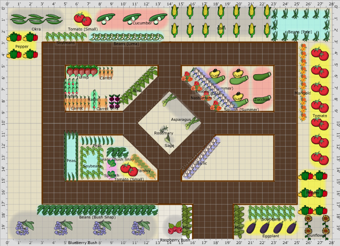 vegetable garden layout 20 x 20