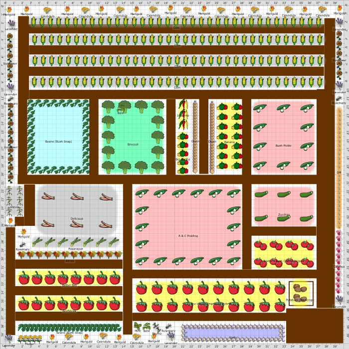 kitchen garden planner software