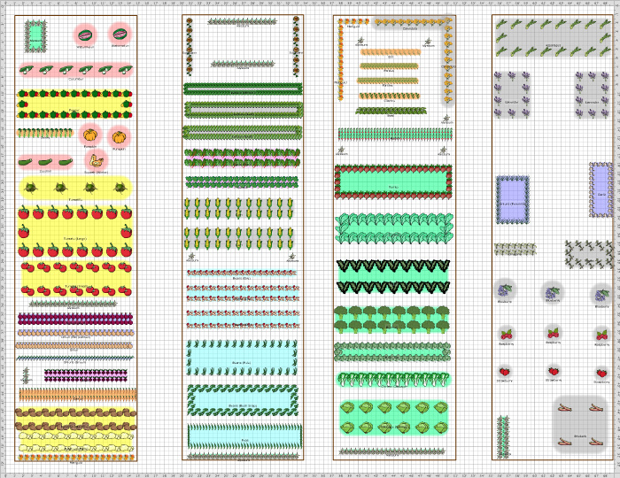 Garden Plan - 2014: Veg plenty