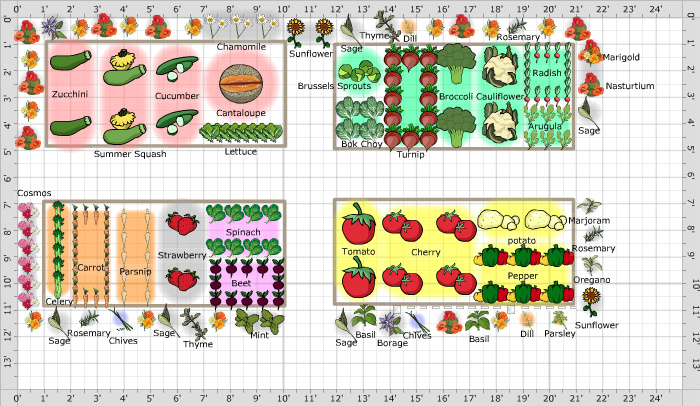 Garden Plan - 2015: Andrew's Garden