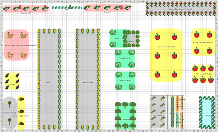 Garden Plan - 2015: Main Garden