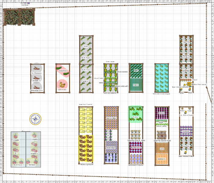 Garden Plan - 2014: Bramlea veg plot