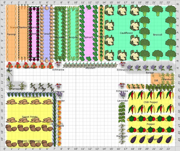 Garden Plan - FENCED GARDEN