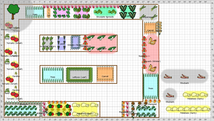 Garden Plan - 2015: Backgarden