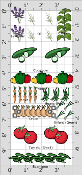 Garden Plan - Raised Bed 4x10