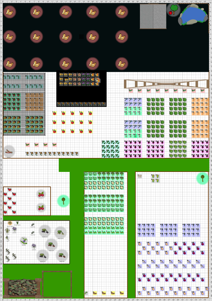 Garden Plan - 2015: Ginge's Plot Summer
