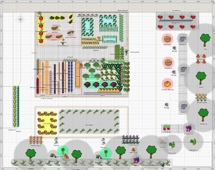 Garden Plan - 2015: veg garden