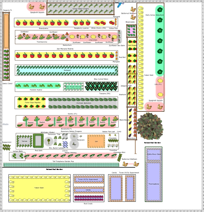 Garden Plan - 2016: Winter/Spring Garden