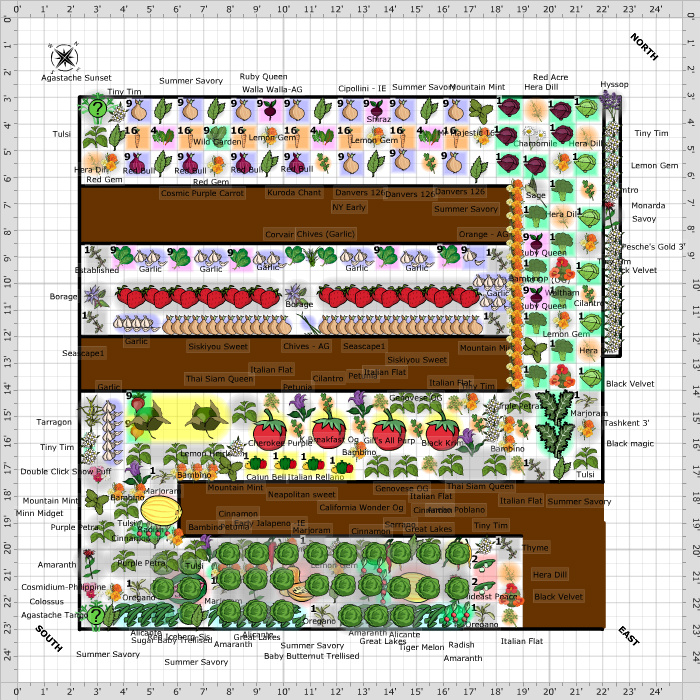 20x20 vegetable garden layout