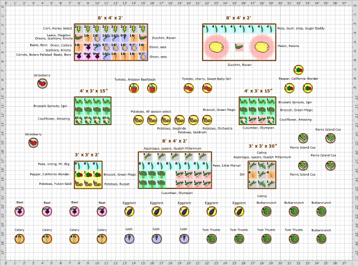 Garden Plan - 2016: Set up