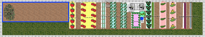 Garden Plan - 2016: Vegetable Garden