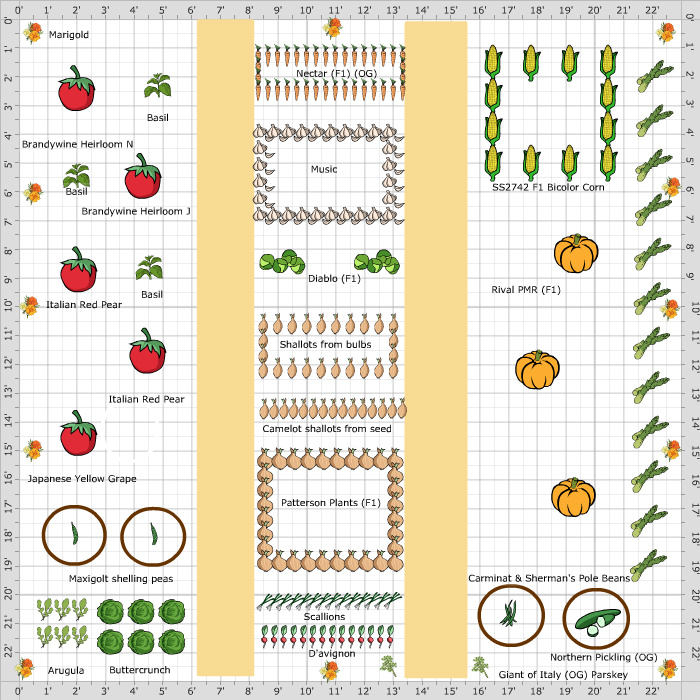 Garden Plan - 2016: First draft
