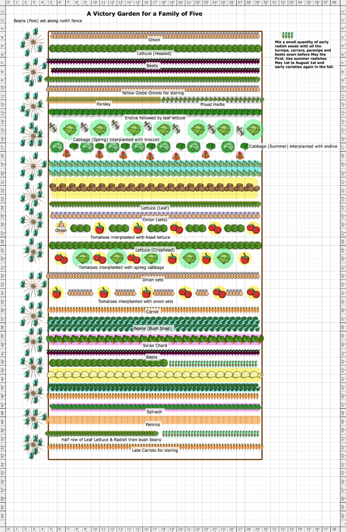 Garden Plan 2016 A Victory Garden For A Family of Five