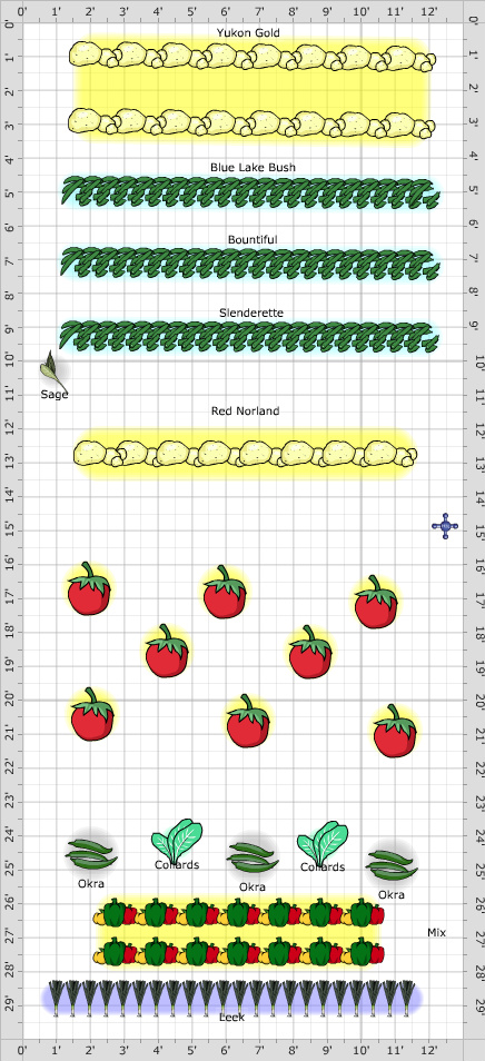 Garden Plan - 2019: Plot 3