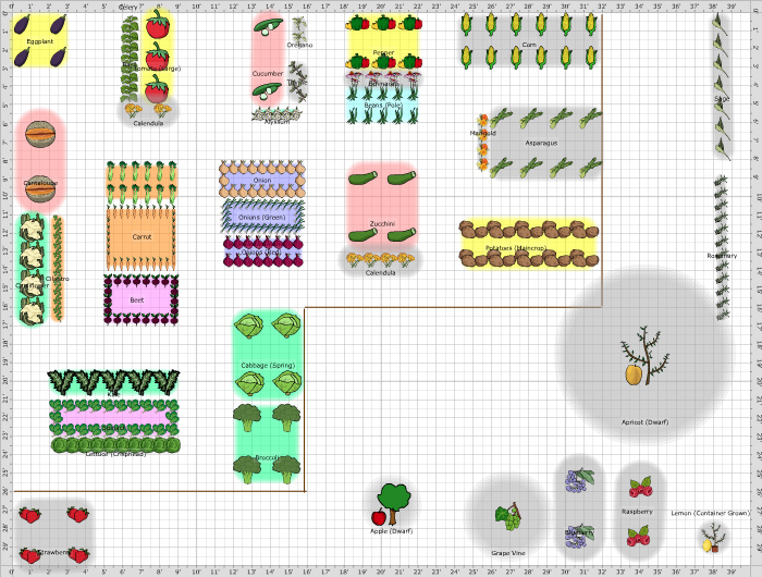 Garden Plan - 2017: Melon Drive Garden