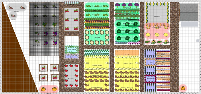 Garden Plan - 2017: Plot 22a 17