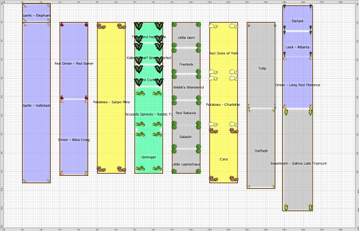 Garden Plan - 2017: ND4 Orchard - Summer