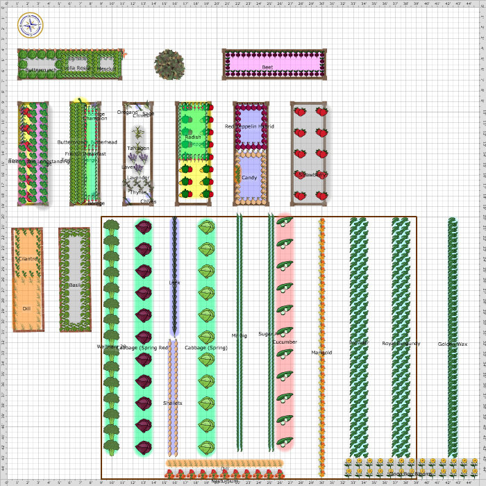 Garden Plan - 2017: Home garden