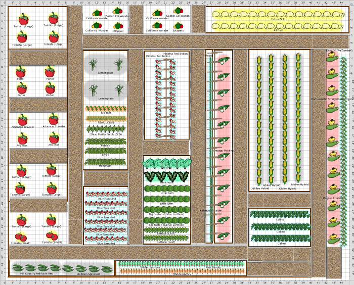 Garden Plan - 2017: Main Garden