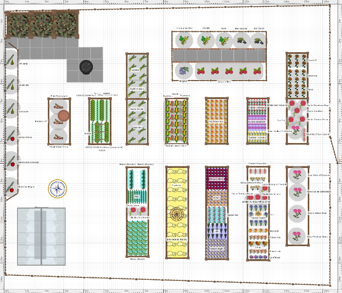 Garden Plan - 2019: Bramlea veg plot