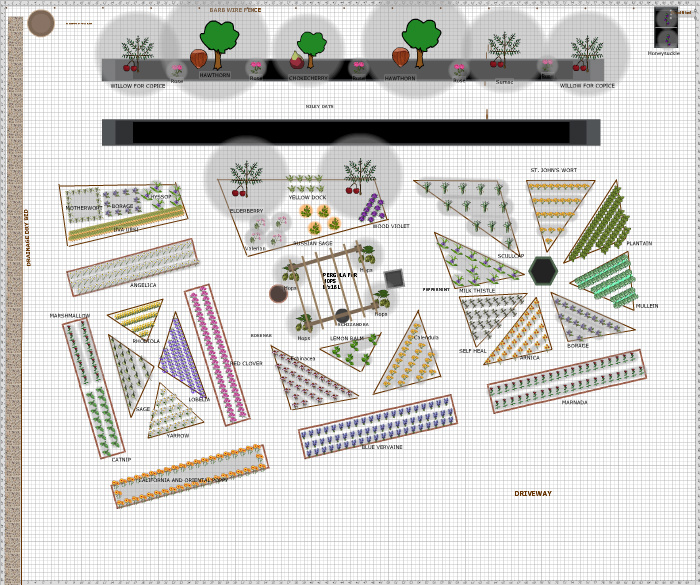 Garden Plan - 2019: Apothacary Garden