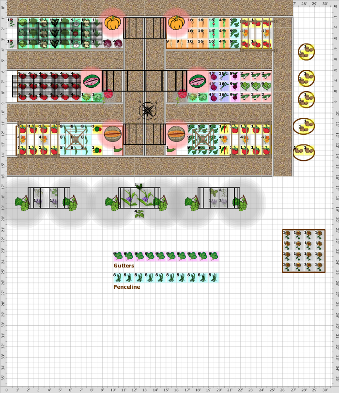 Garden Plan - 2019: Garden Layout