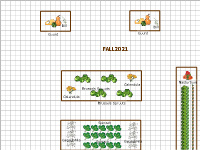 Garden Plans - Be Inspired by Other Gardeners' Garden Ideas