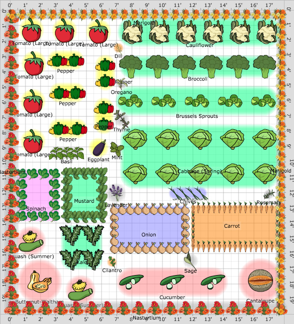 Garden Plan - 2019: Garden